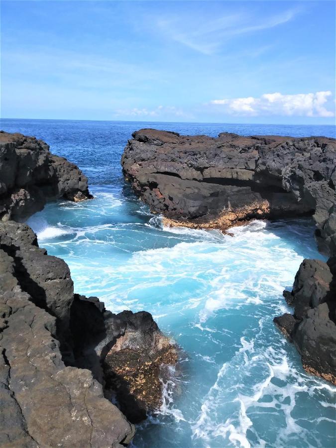 Ocean View Paradise 2 Daire Dış mekan fotoğraf